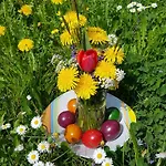 Apartment Armonia Altach, 2br Familienapartment Mit Großem Balkon Und Bergblick Altach