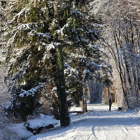 Armonia Altach, 2-6 P, 2 Schlafzimmer, Kueche, Parkplatz, Balkon, Wifi, Garten, Stellplatz Fuer Apartment *