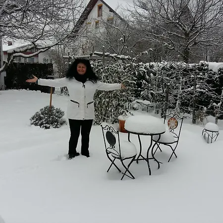 Armonia Altach, 2-6 P, 2 Schlafzimmer, Kueche, Parkplatz, Balkon, Wifi, Garten, Stellplatz Fuer Apartment