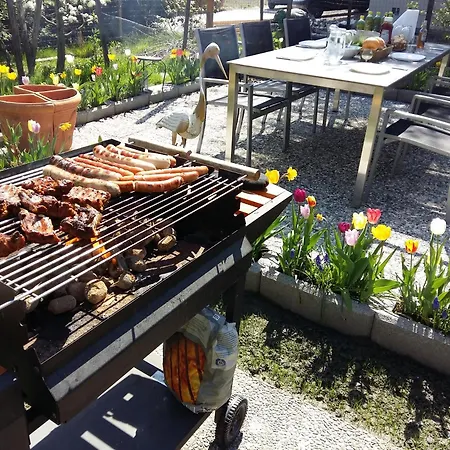 Armonia Altach, 2-6 P, 2 Schlafzimmer, Kueche, Parkplatz, Balkon, Wifi, Garten, Stellplatz Fuer Apartment