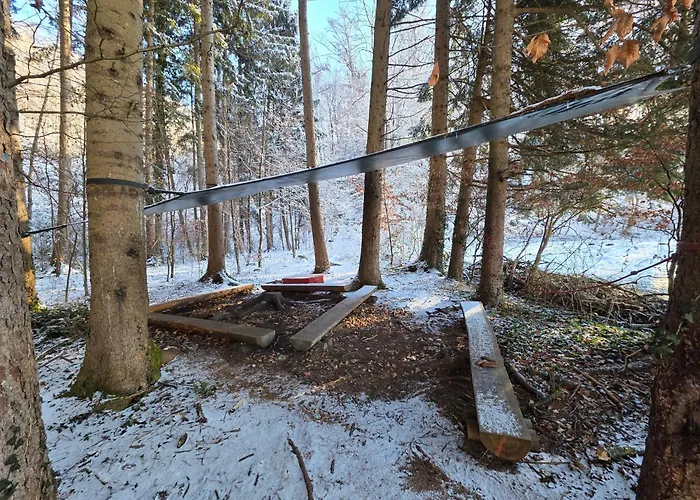 Armonia Altach, 2-6 P, 2 Schlafzimmer, Kueche, Parkplatz, Balkon, Wifi, Garten, Stellplatz Fuer Apartment *