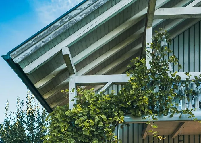 Armonia Altach, 2-6 P, 2 Schlafzimmer, Kueche, Parkplatz, Balkon, Wifi, Garten, Stellplatz Fuer Apartment