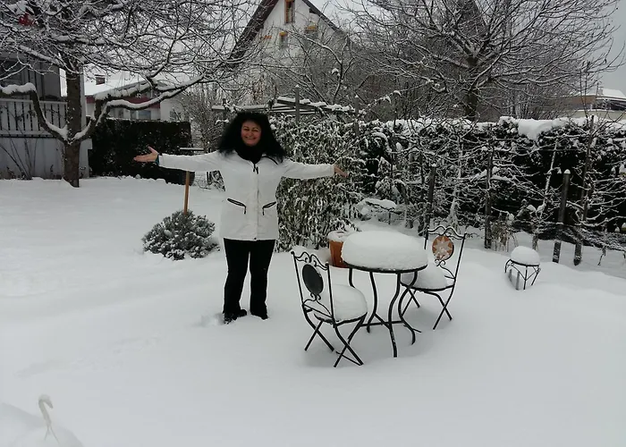 Armonia Altach, 2-6 P, 2 Schlafzimmer, Kueche, Parkplatz, Balkon, Wifi, Garten, Stellplatz Fuer Apartment