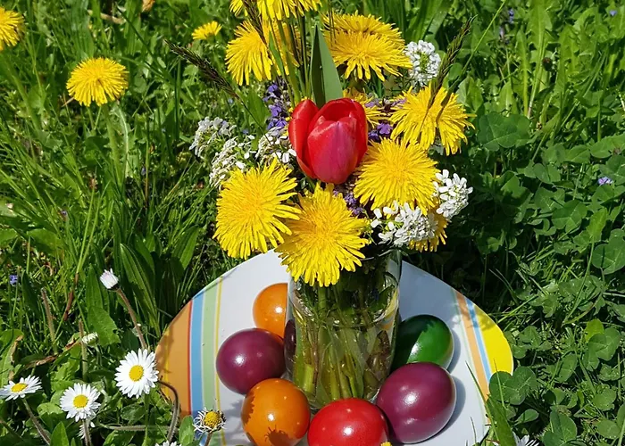 Apartment Armonia Altach, 2-6 P, 2 Schlafzimmer, Kueche, Parkplatz, Balkon, Wifi, Garten, Stellplatz Fuer Altach