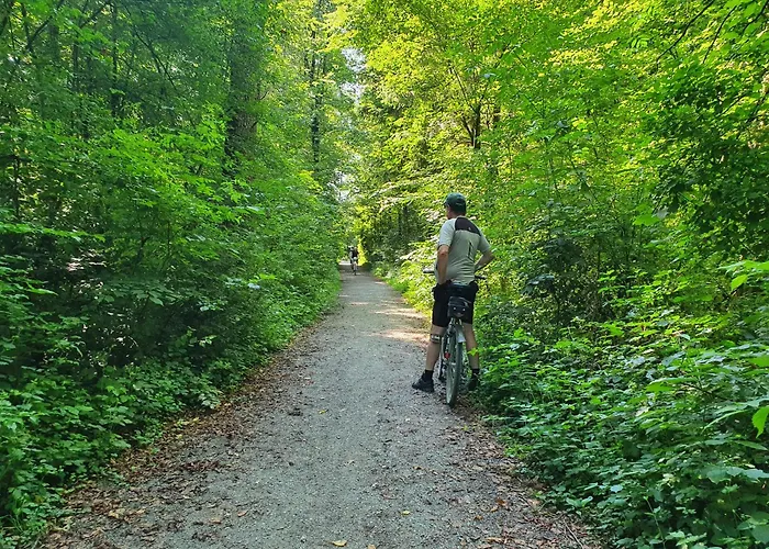 Apartment Armonia Altach, 2-6 P, 2 Schlafzimmer, Kueche, Parkplatz, Balkon, Wifi, Garten, Stellplatz Fuer